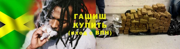 дмт Пересвет