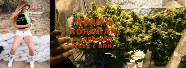дмт Пересвет