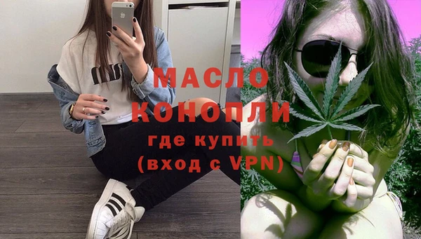 дмт Пересвет