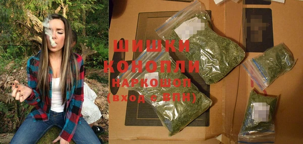 индика Покров