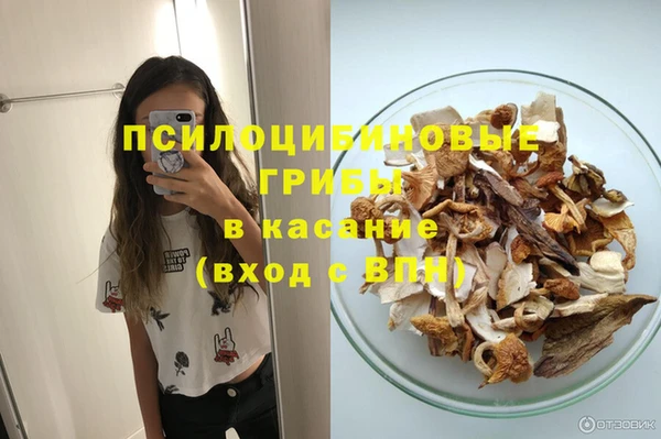 стафф Ступино