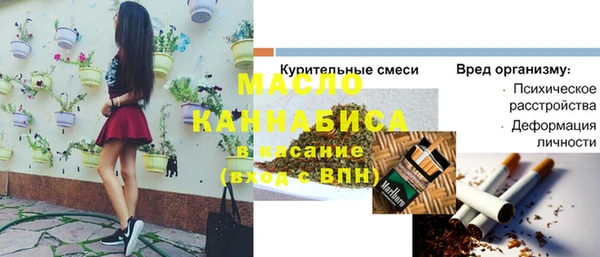 дмт Пересвет