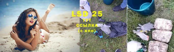индика Покров
