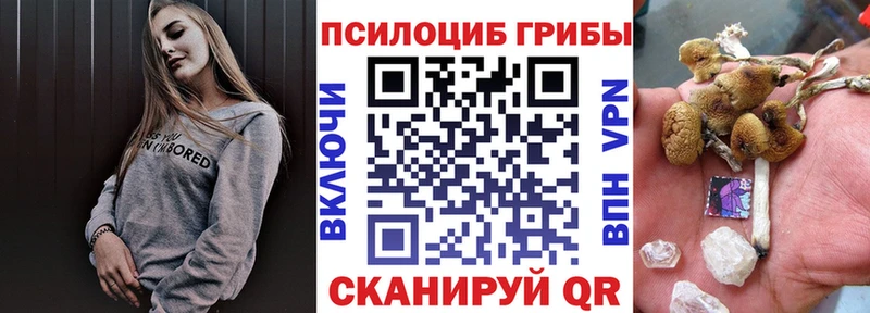 Галлюциногенные грибы Magic Shrooms  Алатырь 