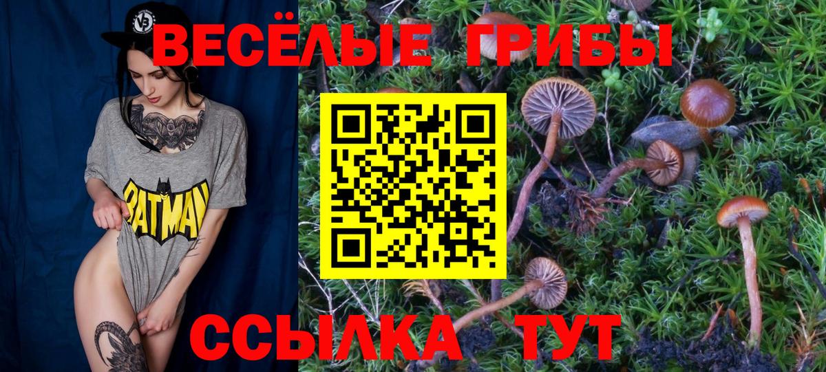 Псилоцибиновые грибы Cubensis Алатырь