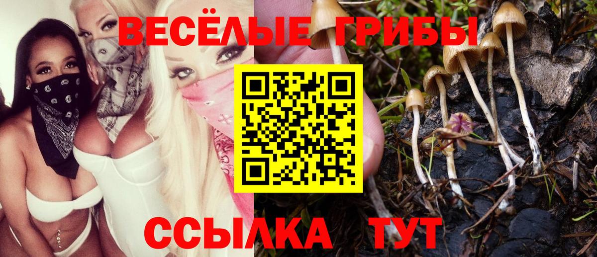 Галлюциногенные грибы мухоморы  Алатырь 