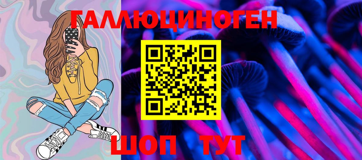 купить наркотик  Вход с VPN  Алатырь  Псилоцибиновые грибы Magic Shrooms 