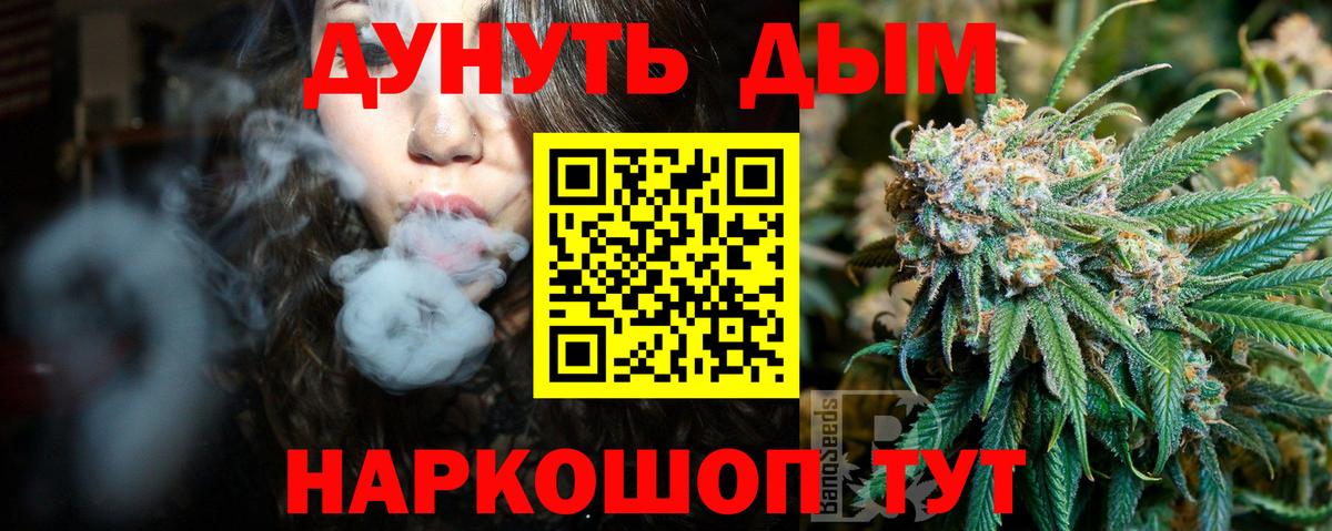 Конопля гибрид  Конопля ГИДРОПОН  Алатырь 